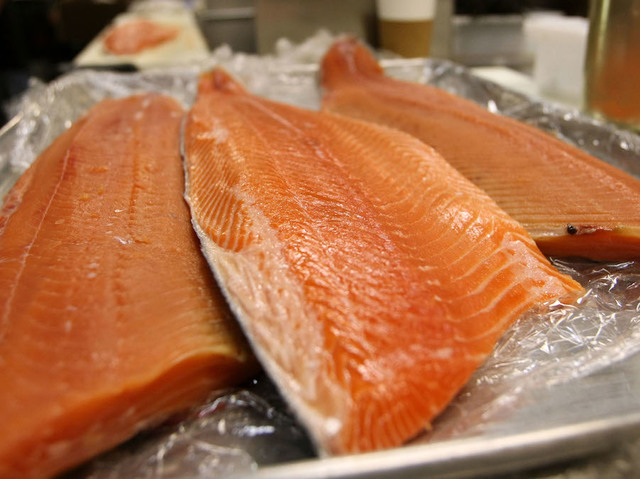 Tapeworm in Salmon: Japanese Parasite Found in Alaskan-Caught Fish
