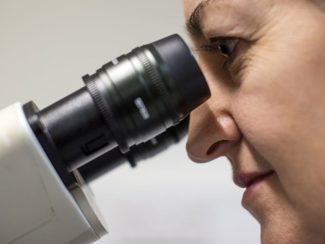 Cancer vaccine eliminates tumor in mice Cancer vaccine eliminates tumor in mice